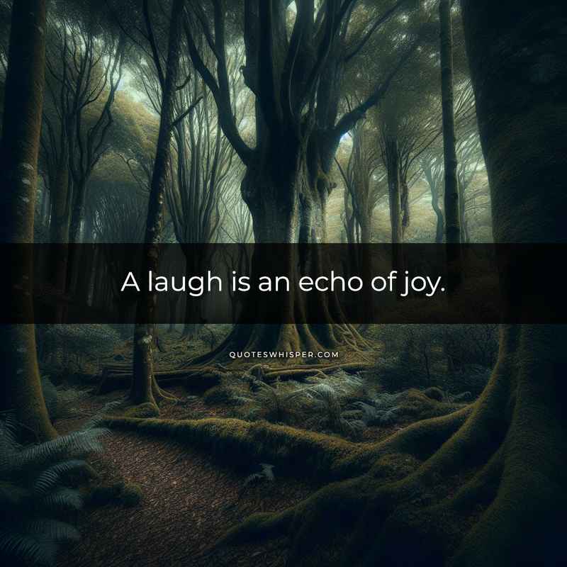 A laugh is an echo of joy.