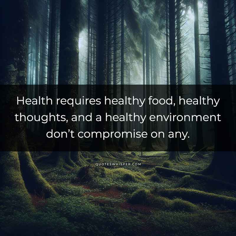 Health requires healthy food, healthy thoughts, and a healthy environment don’t compromise on any.