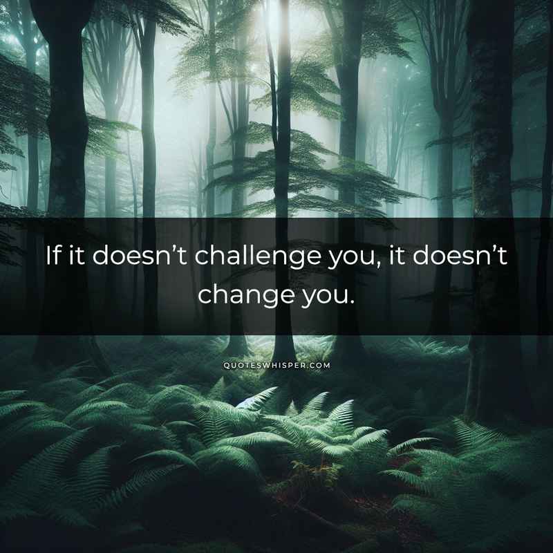If it doesn’t challenge you, it doesn’t change you.
