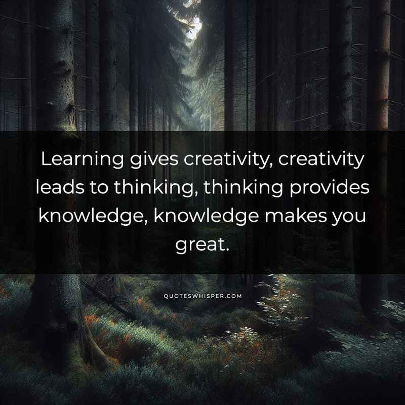 Learning gives creativity, creativity leads to thinking, thinking provides knowledge, knowledge makes you great.