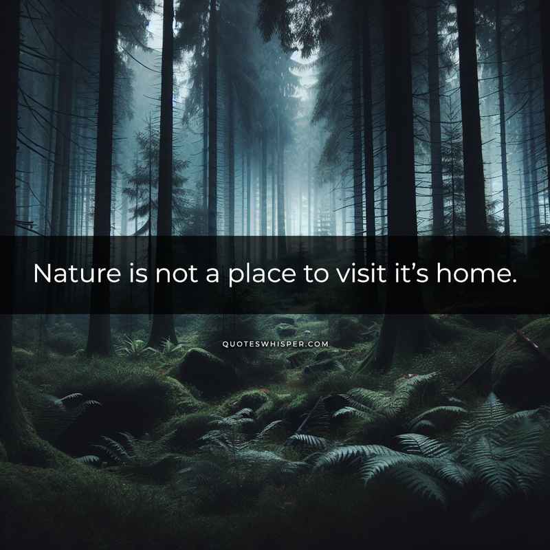 Nature is not a place to visit it’s home.