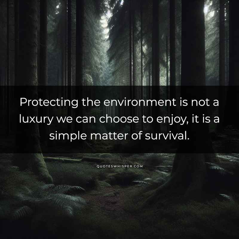Protecting the environment is not a luxury we can choose to enjoy, it is a simple matter of survival.