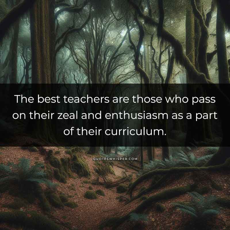 The best teachers are those who pass on their zeal and enthusiasm as a part of their curriculum.