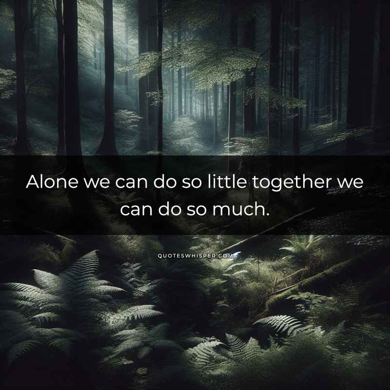 Alone we can do so little together we can do so much.