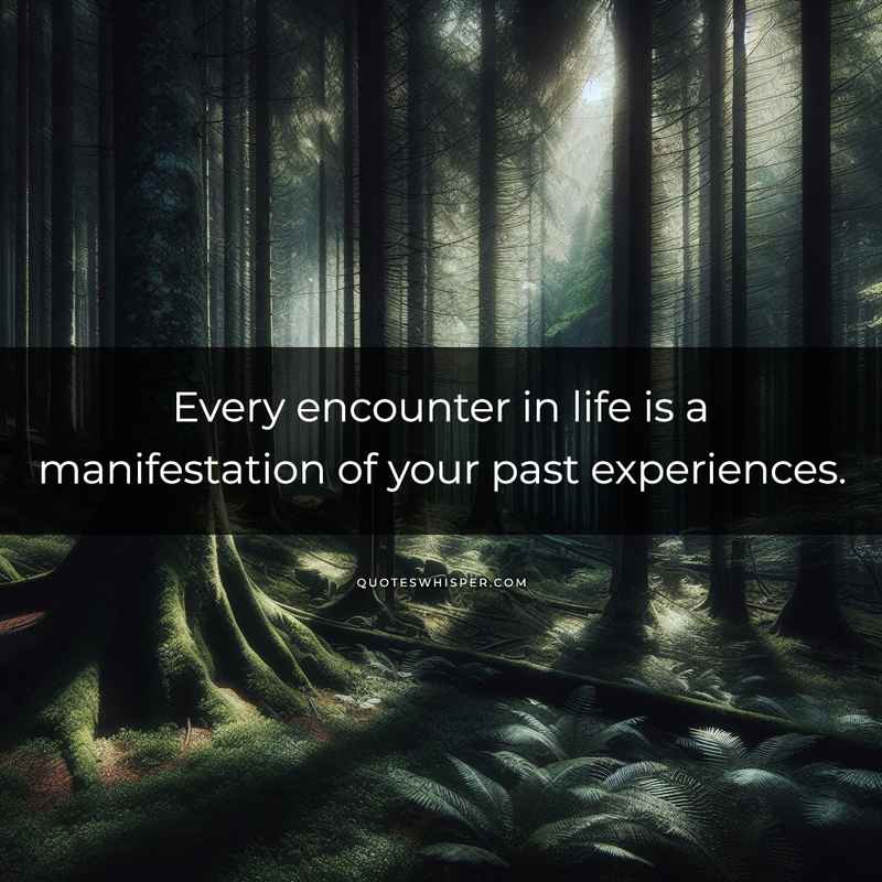 Every encounter in life is a manifestation of your past experiences.