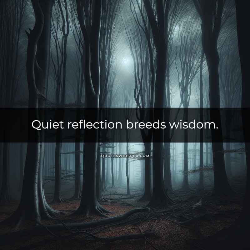 Quiet reflection breeds wisdom.