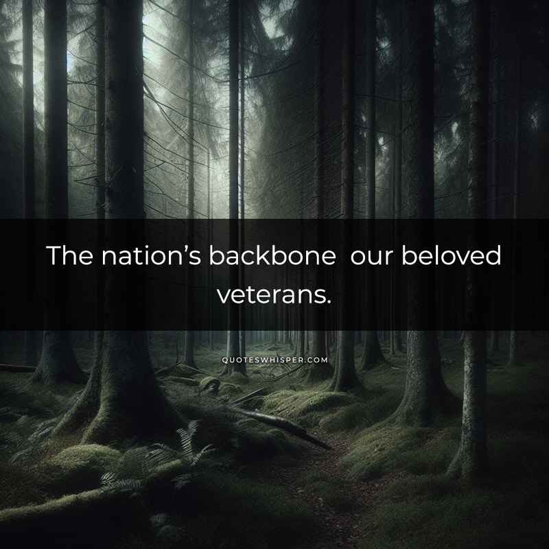 The nation’s backbone our beloved veterans.