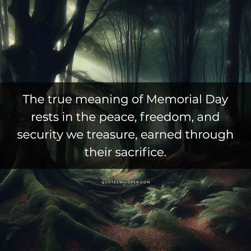 The true meaning of Memorial Day rests in the peace, freedom, and security we treasure, earned through their sacrifice.