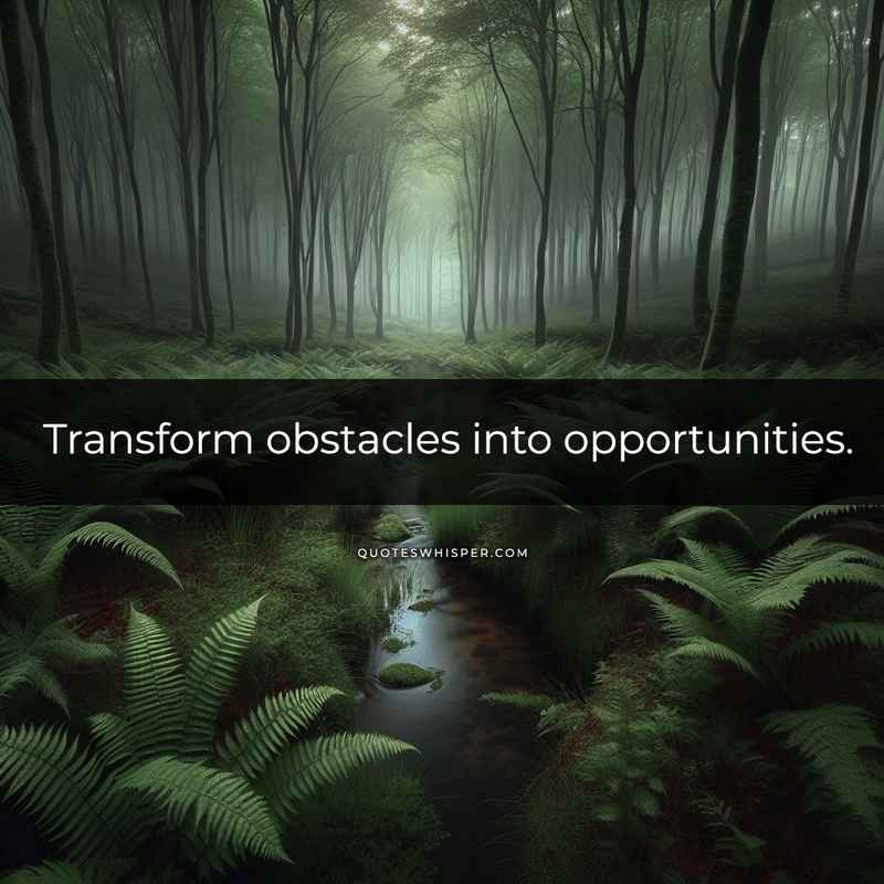 Transform obstacles into opportunities.