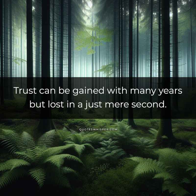 Trust can be gained with many years but lost in a just mere second.