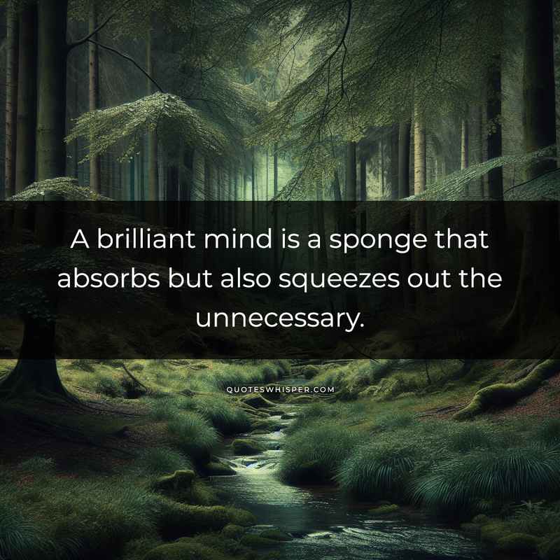 A brilliant mind is a sponge that absorbs but also squeezes out the unnecessary.