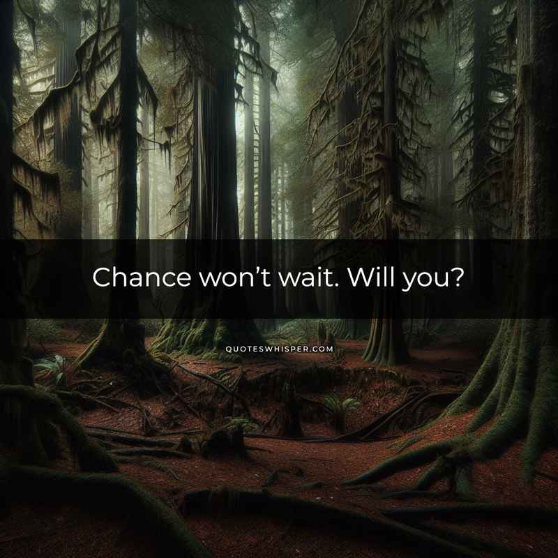 Chance won’t wait. Will you?