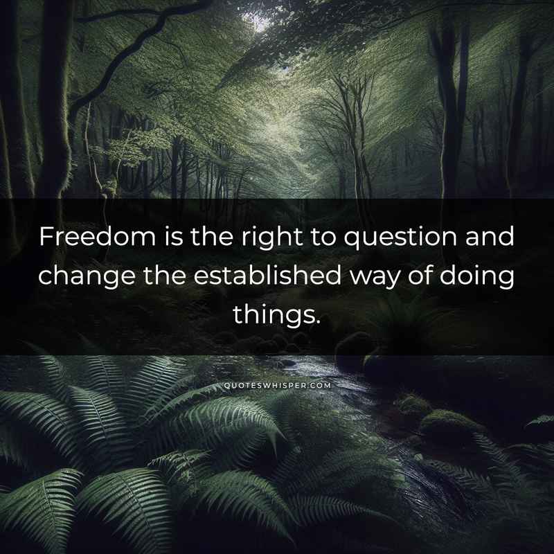 Freedom is the right to question and change the established way of doing things.