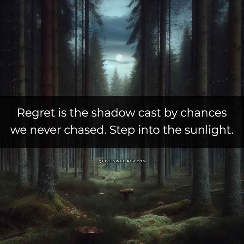 Regret is the shadow cast by chances we never chased. Step into the sunlight.