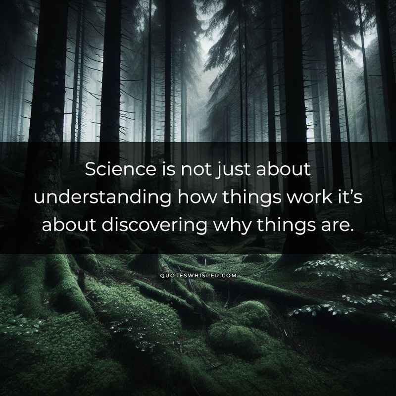 Science is not just about understanding how things work it’s about discovering why things are.