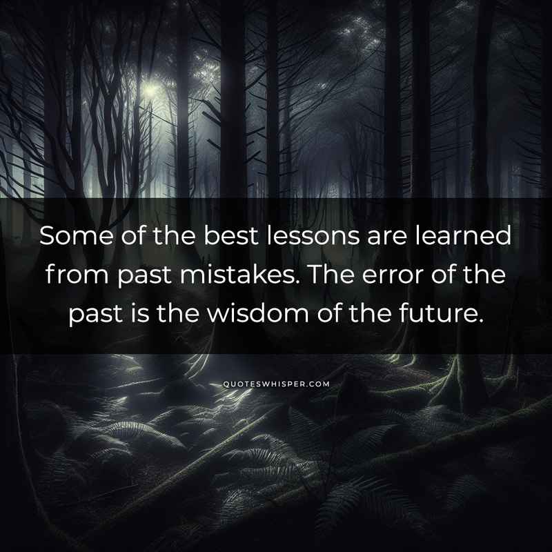 Some of the best lessons are learned from past mistakes. The error of the past is the wisdom of the future.