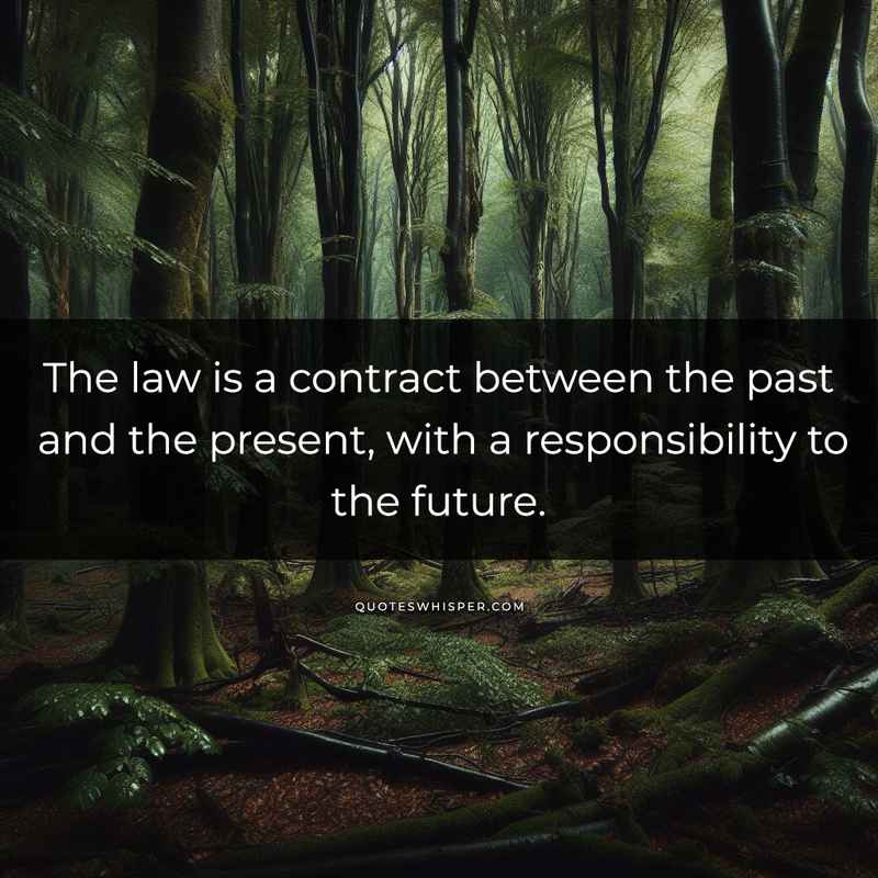 The law is a contract between the past and the present, with a responsibility to the future.