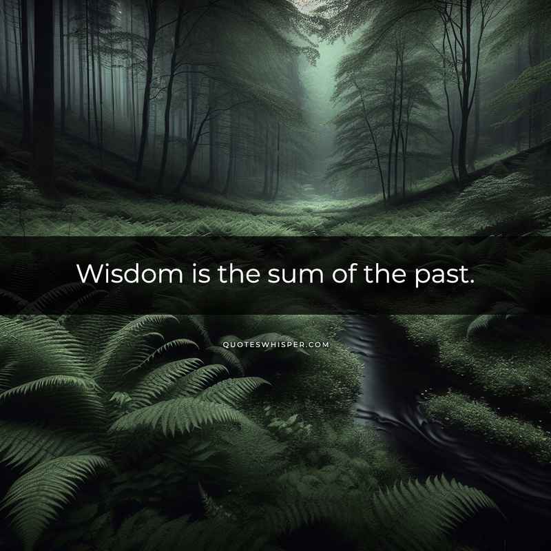 Wisdom is the sum of the past.