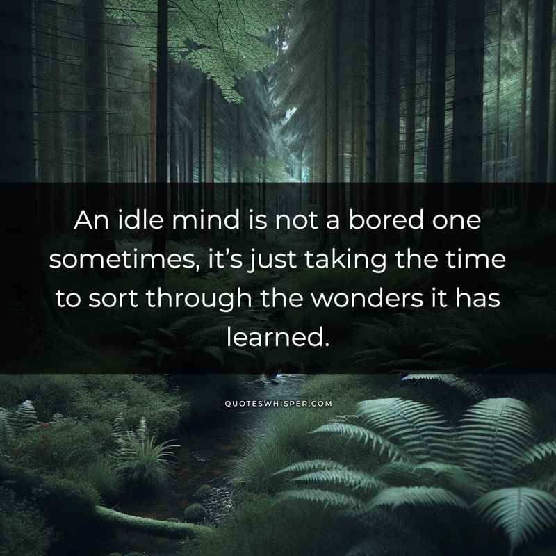 An idle mind is not a bored one sometimes, it’s just taking the time to sort through the wonders it has learned.