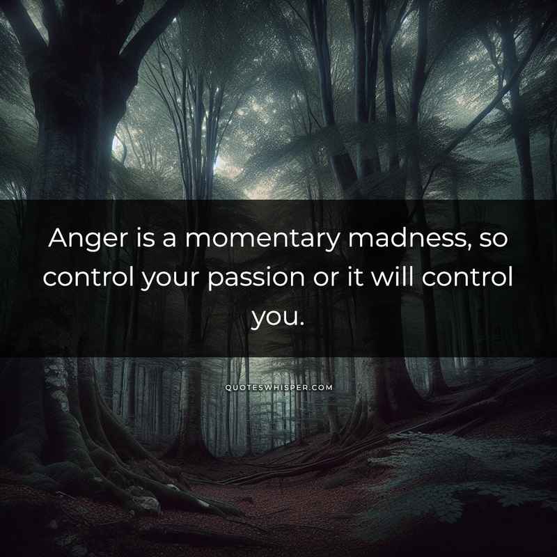 Anger is a momentary madness, so control your passion or it will control you.