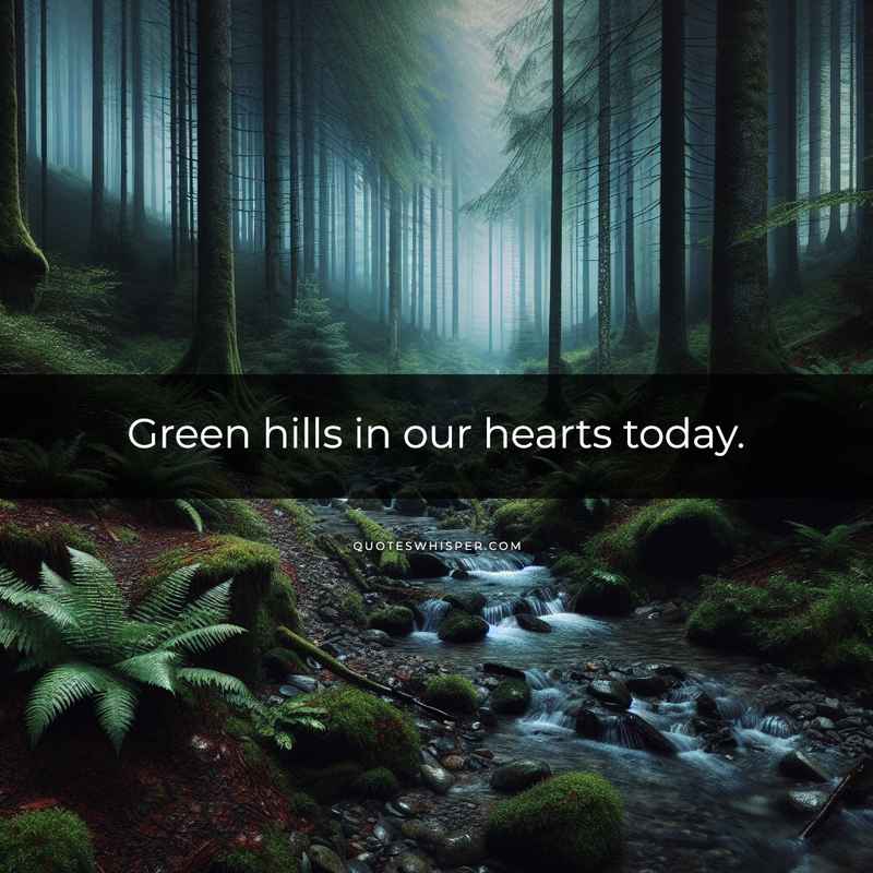 Green hills in our hearts today.