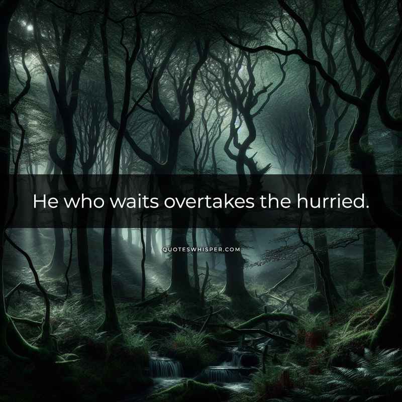 He who waits overtakes the hurried.