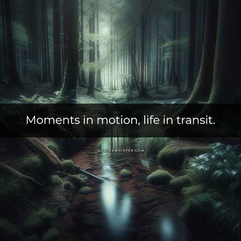 Moments in motion, life in transit.