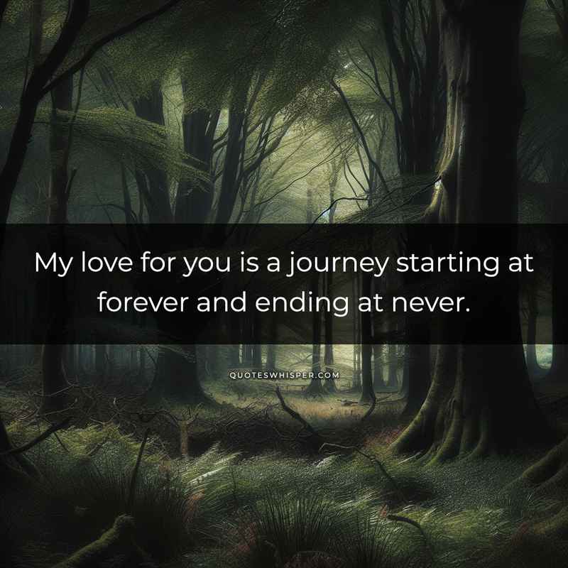 My love for you is a journey starting at forever and ending at never.