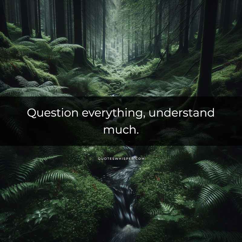 Question everything, understand much.