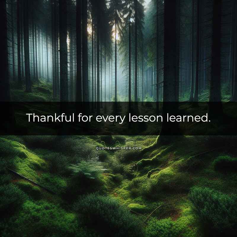 Thankful for every lesson learned.