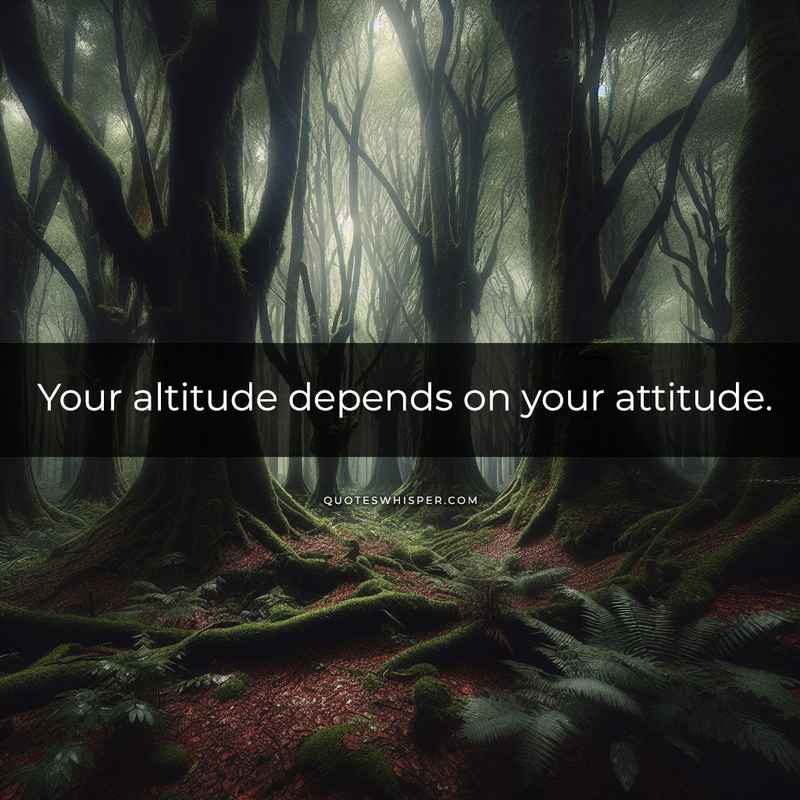 Your altitude depends on your attitude.