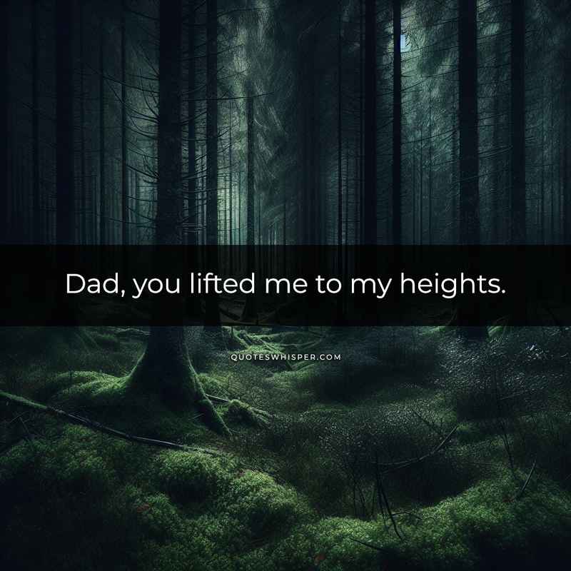 Dad, you lifted me to my heights.
