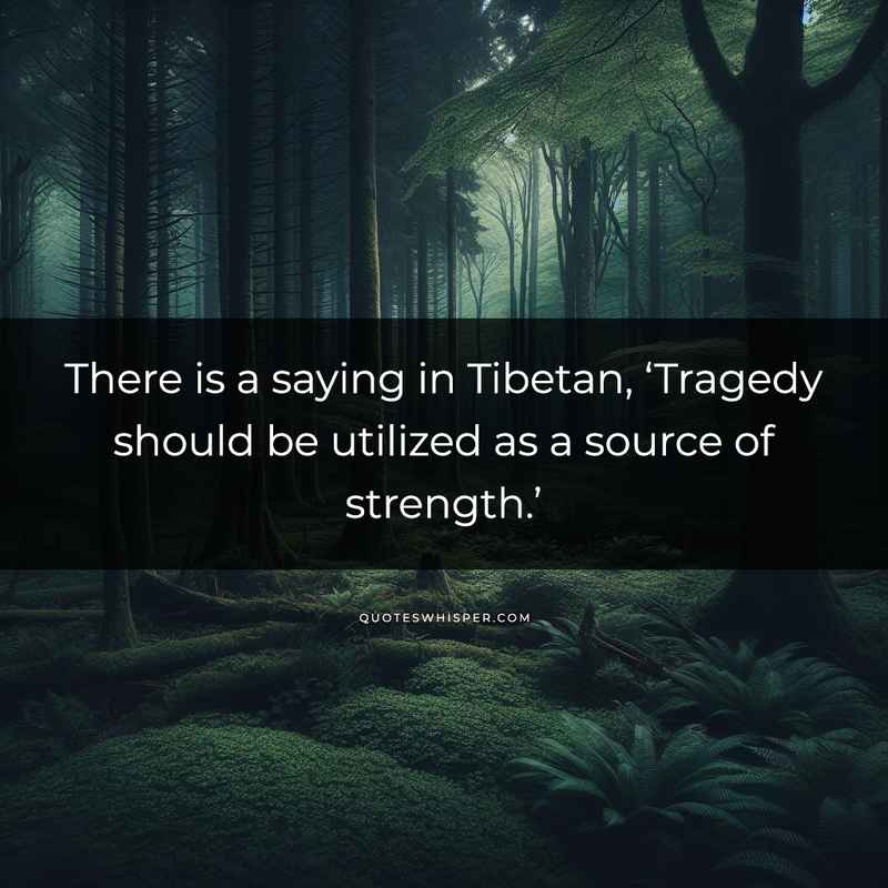 There is a saying in Tibetan, ‘Tragedy should be utilized as a source of strength.’