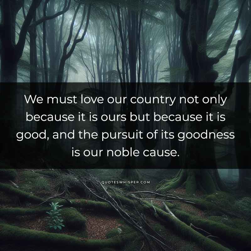 We must love our country not only because it is ours but because it is good, and the pursuit of its goodness is our noble cause.