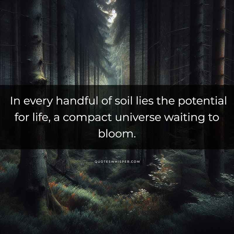 In every handful of soil lies the potential for life, a compact universe waiting to bloom.