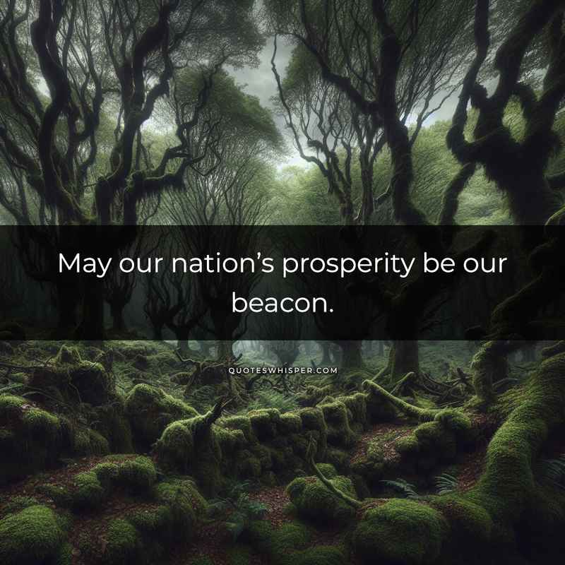 May our nation’s prosperity be our beacon.
