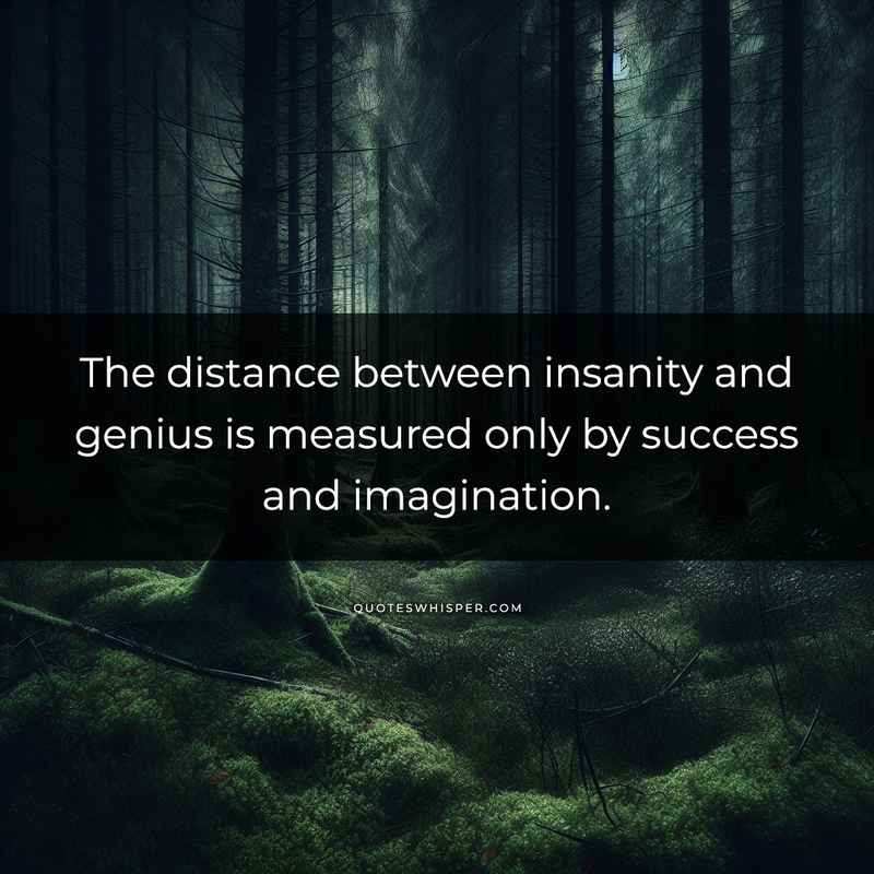 The distance between insanity and genius is measured only by success and imagination.