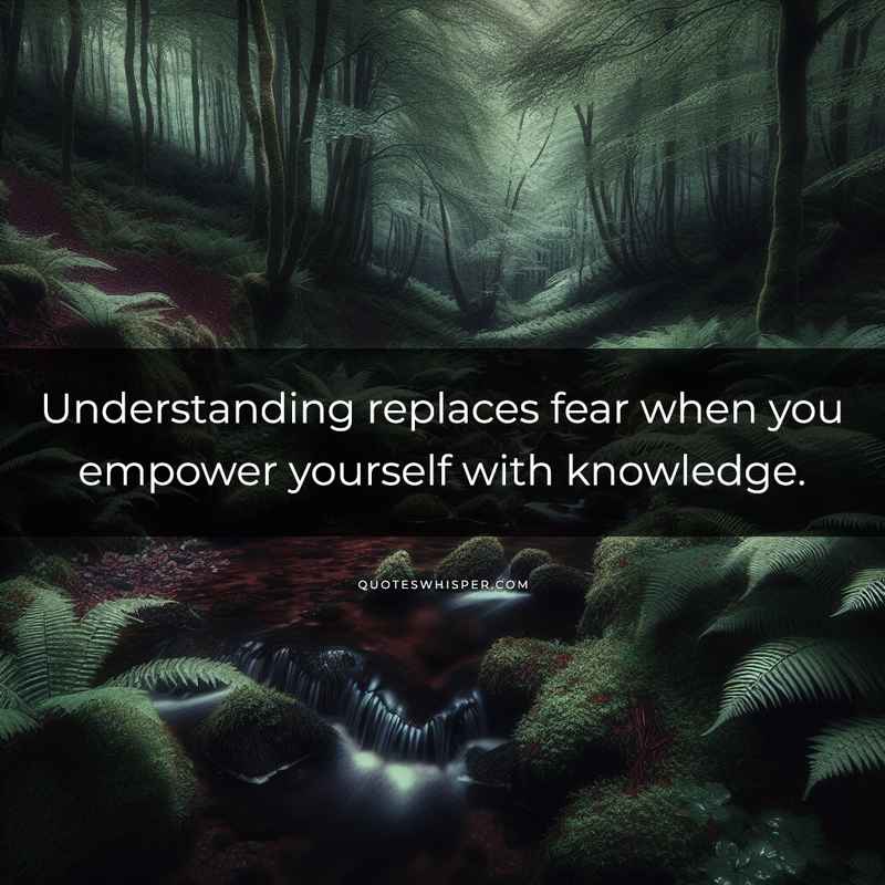 Understanding replaces fear when you empower yourself with knowledge.