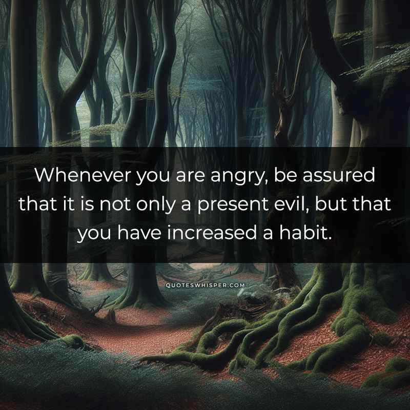 Whenever you are angry, be assured that it is not only a present evil, but that you have increased a habit.