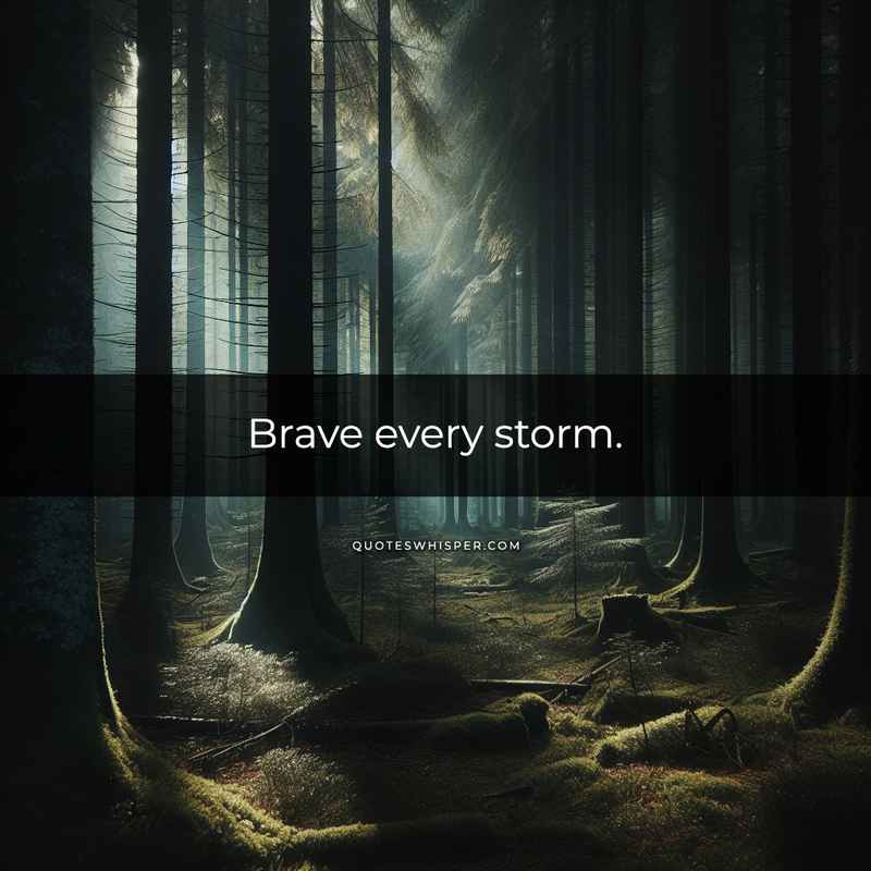 Brave every storm.
