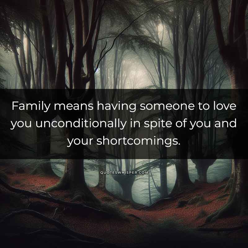 Family means having someone to love you unconditionally in spite of you and your shortcomings.