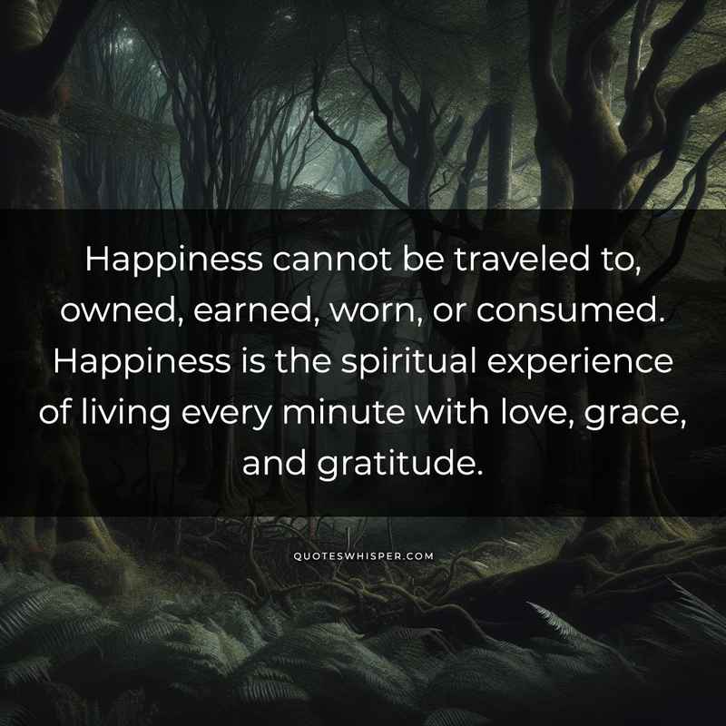 Happiness cannot be traveled to, owned, earned, worn, or consumed. Happiness is the spiritual experience of living every minute with love, grace, and gratitude.