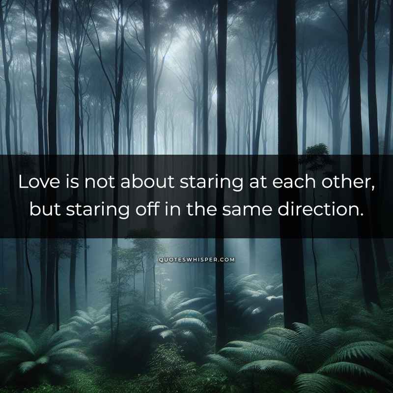 Love is not about staring at each other, but staring off in the same direction.