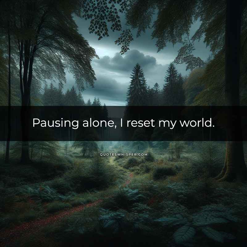 Pausing alone, I reset my world.