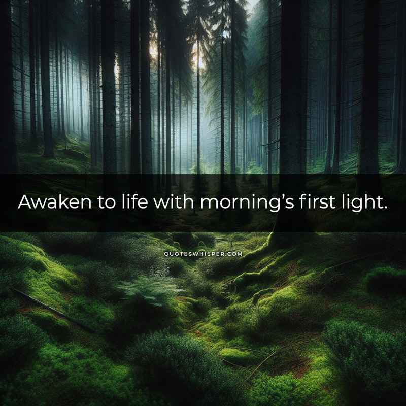 Awaken to life with morning’s first light.