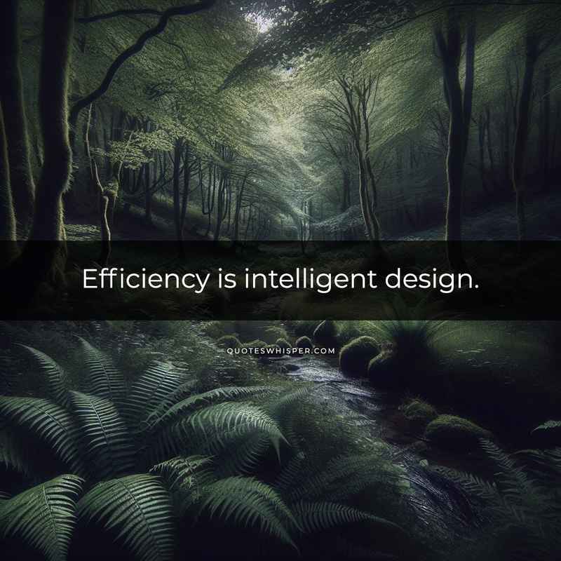 Efficiency is intelligent design.