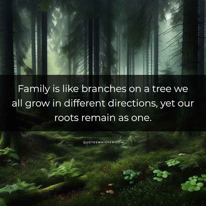 Family is like branches on a tree we all grow in different directions, yet our roots remain as one.