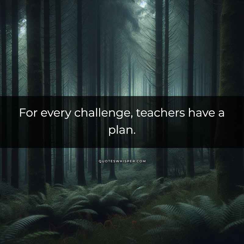 For every challenge, teachers have a plan.