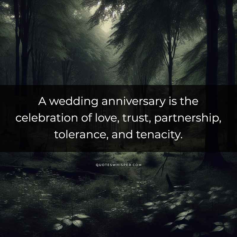 A wedding anniversary is the celebration of love, trust, partnership, tolerance, and tenacity.