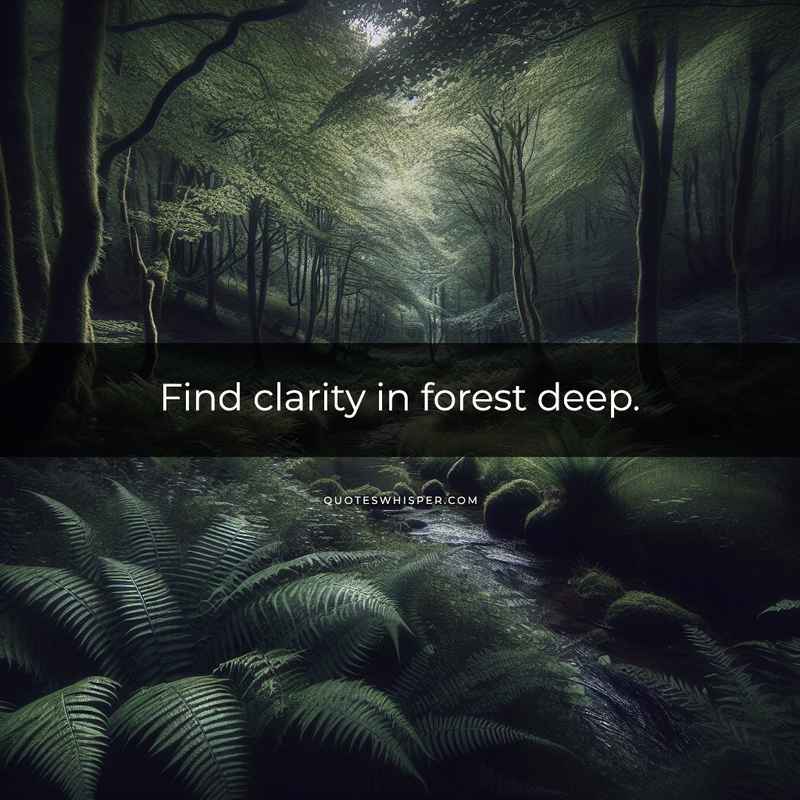 Find clarity in forest deep.